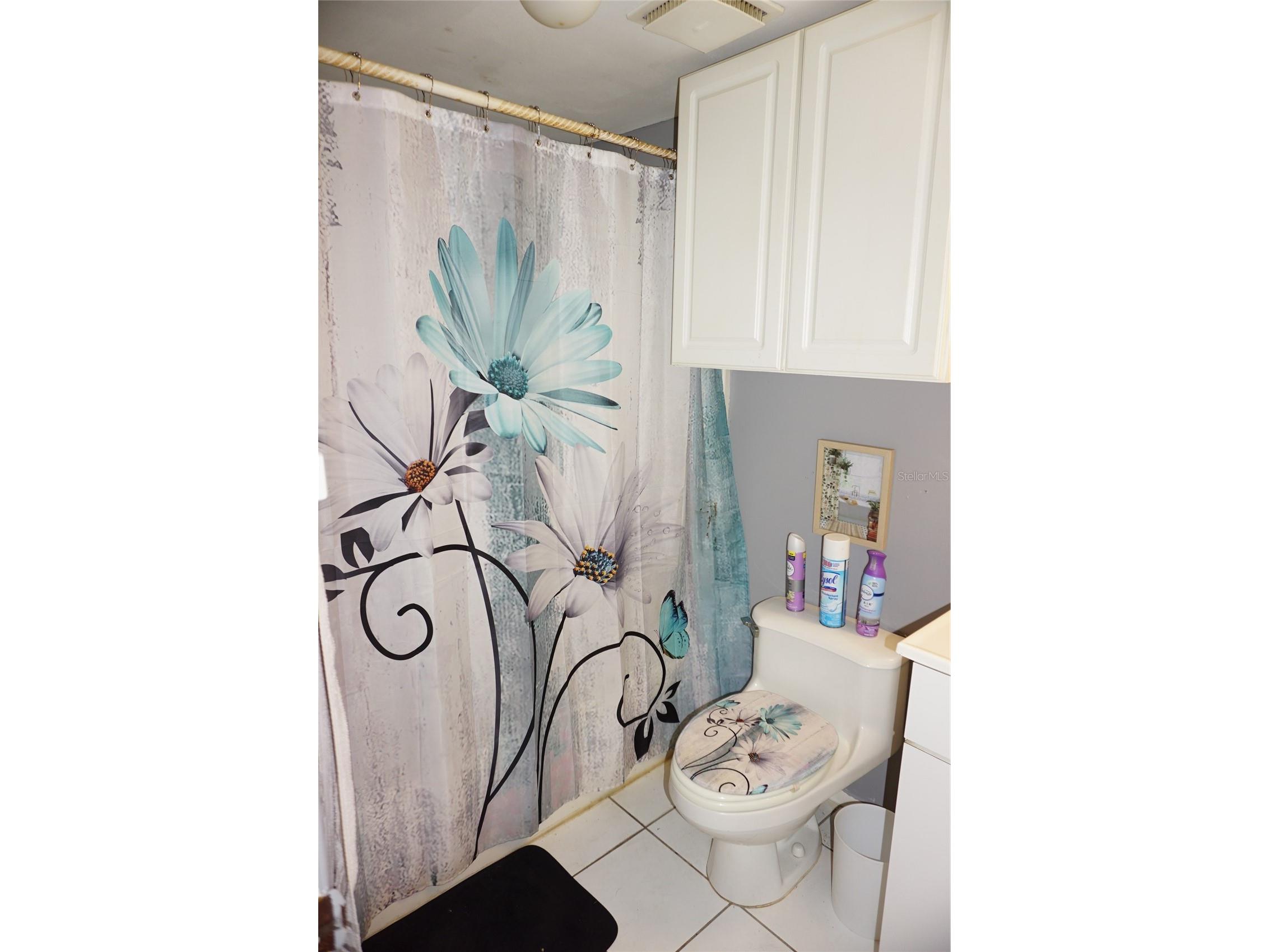 20857 Haulover Cove #B14 Lutz FL 33558 W7885188 image17