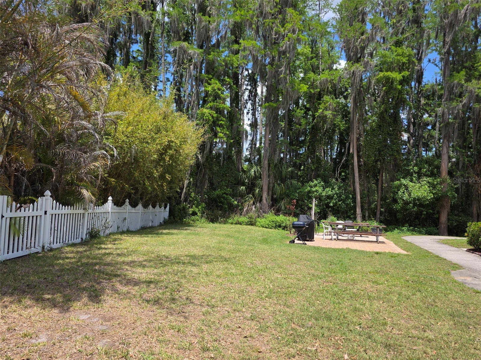 20857 Haulover Cove #B14 Lutz FL 33558 W7885188 image24