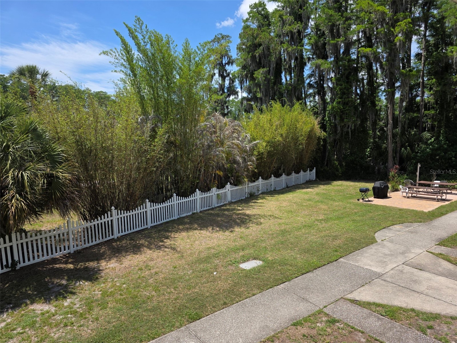 20857 Haulover Cove #B14 Lutz FL 33558 W7885188 image25