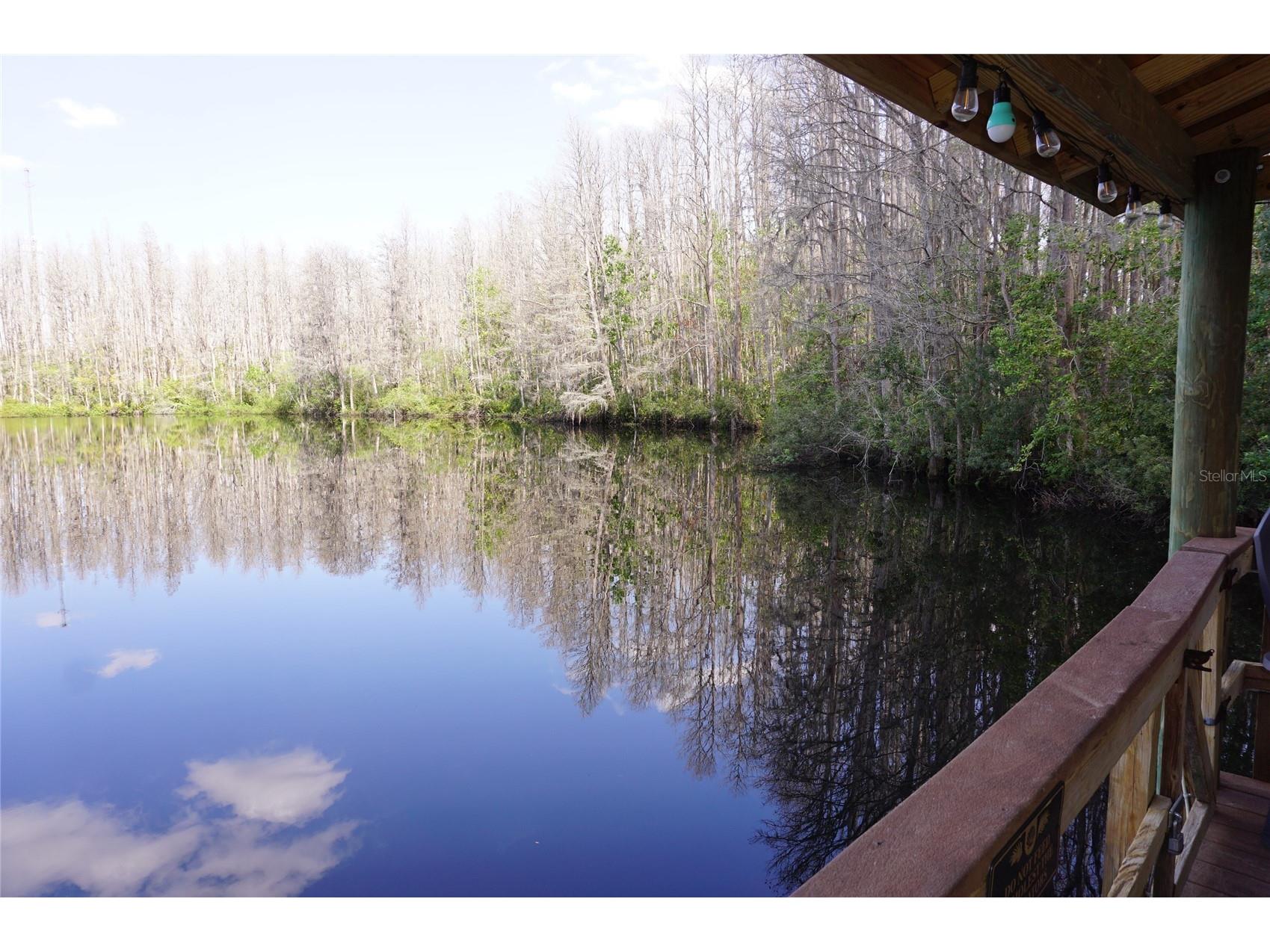 20857 Haulover Cove #B14 Lutz FL 33558 W7885188 image32