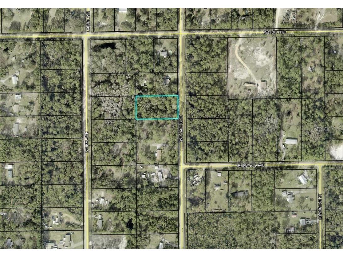 2086 Avocado Boulevard Bunnell FL 32110 FC292862 image1