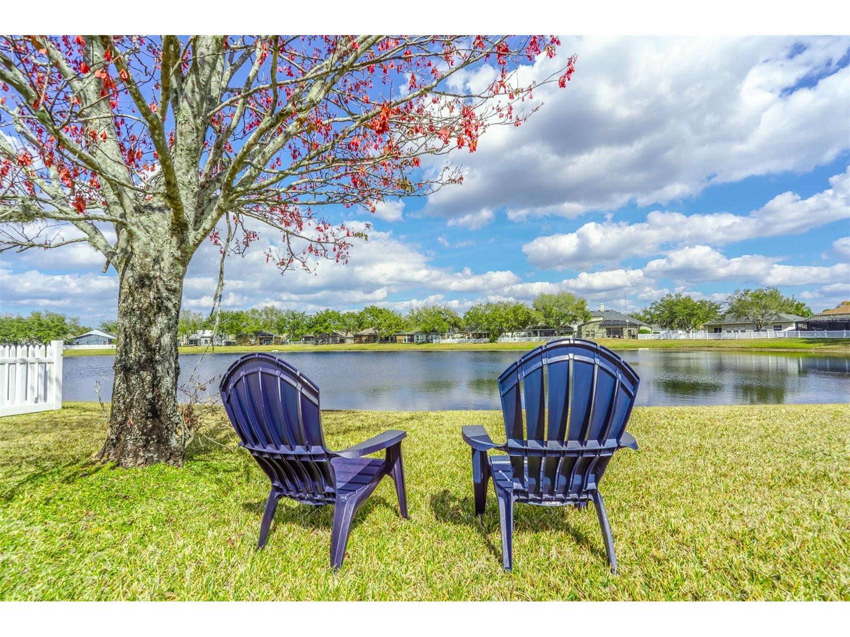 2086 Cascades Cove Drive Orlando FL 32820 O6384383 image2