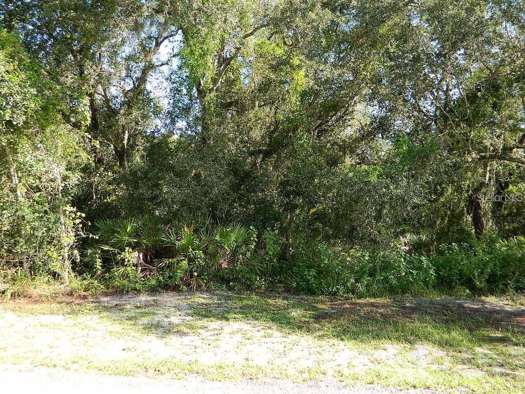 2086 NE Voss Oaks Circle Arcadia FL 34266 D6146243 image1
