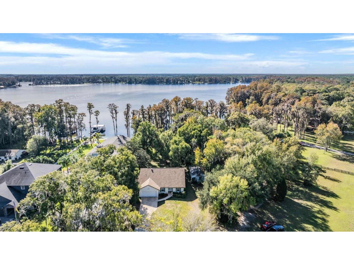 20860 Little Lake Thomas Road Land O Lakes FL 34638 - LAKE THOMAS T3491283 image1