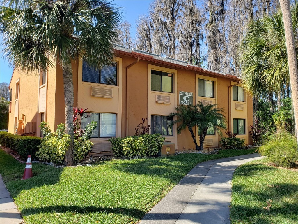 20861 Haulover Cove #6 Lutz FL 33558 T3429556 image1