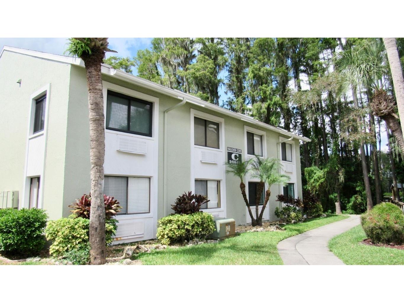 20861 Haulover Cove #C4 Lutz FL 33558 TB8431405 image1