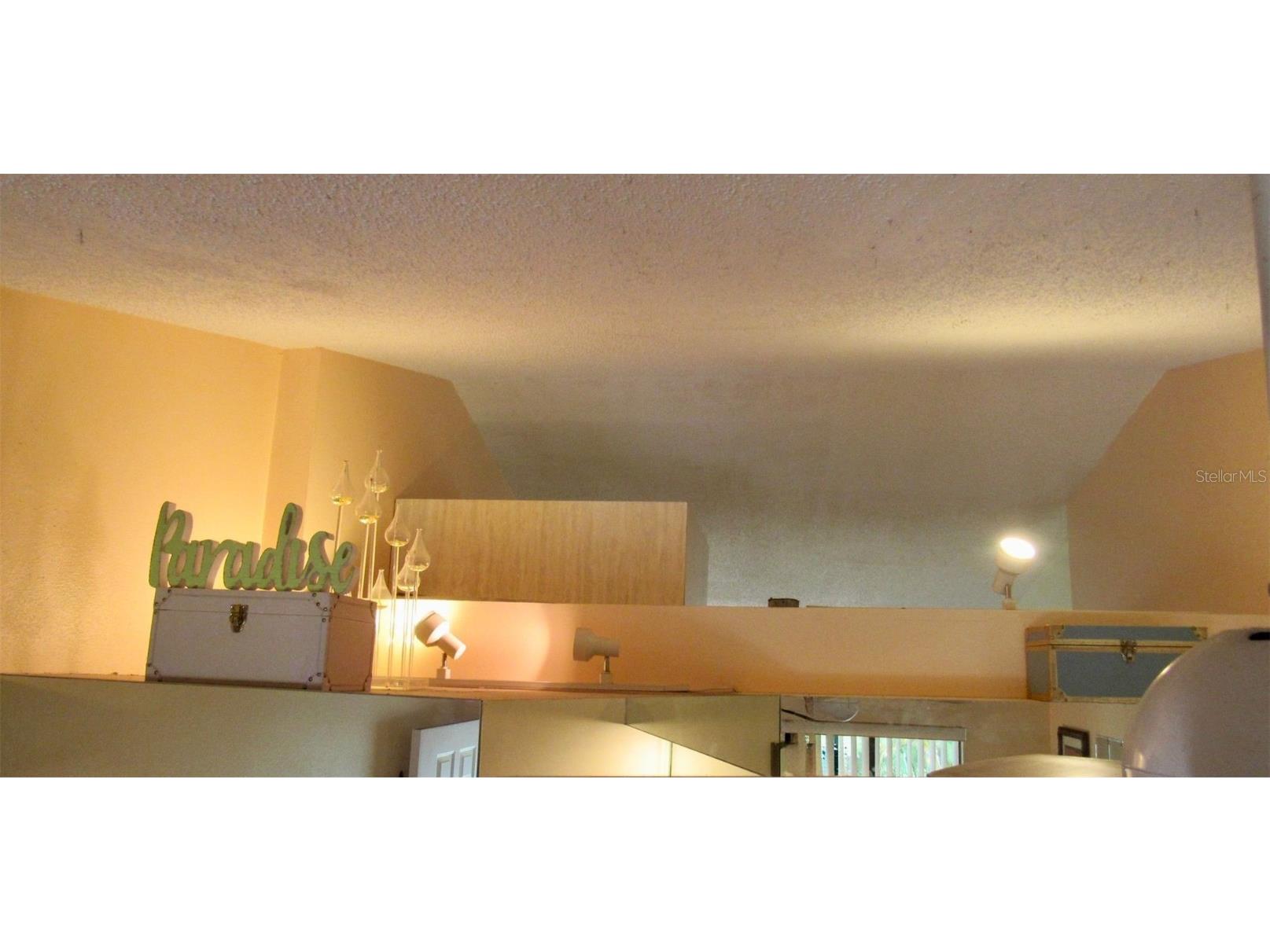 20861 Haulover Cove #C4 Lutz FL 33558 TB8431405 image10