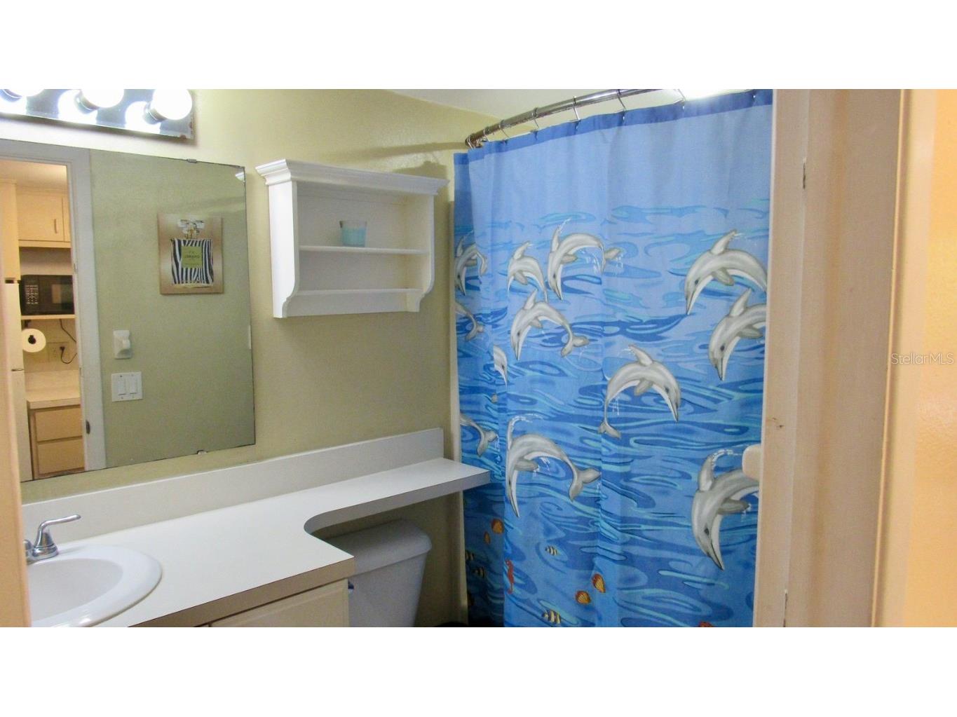 20861 Haulover Cove #C4 Lutz FL 33558 TB8431405 image11