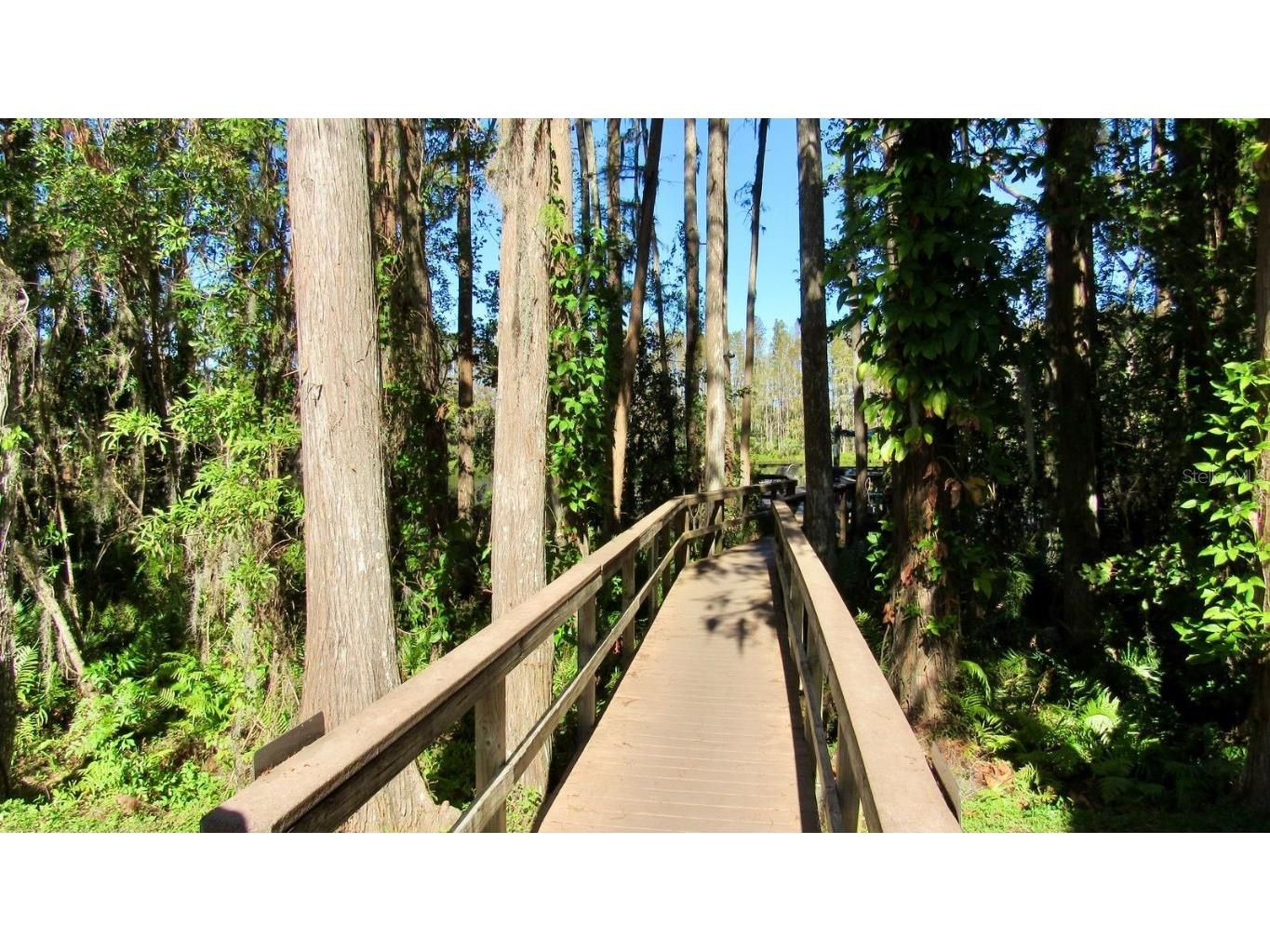 20861 Haulover Cove #C4 Lutz FL 33558 TB8431405 image19