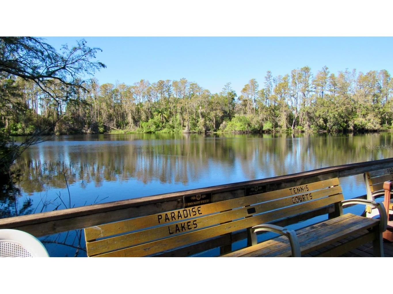 20861 Haulover Cove #C4 Lutz FL 33558 TB8431405 image22