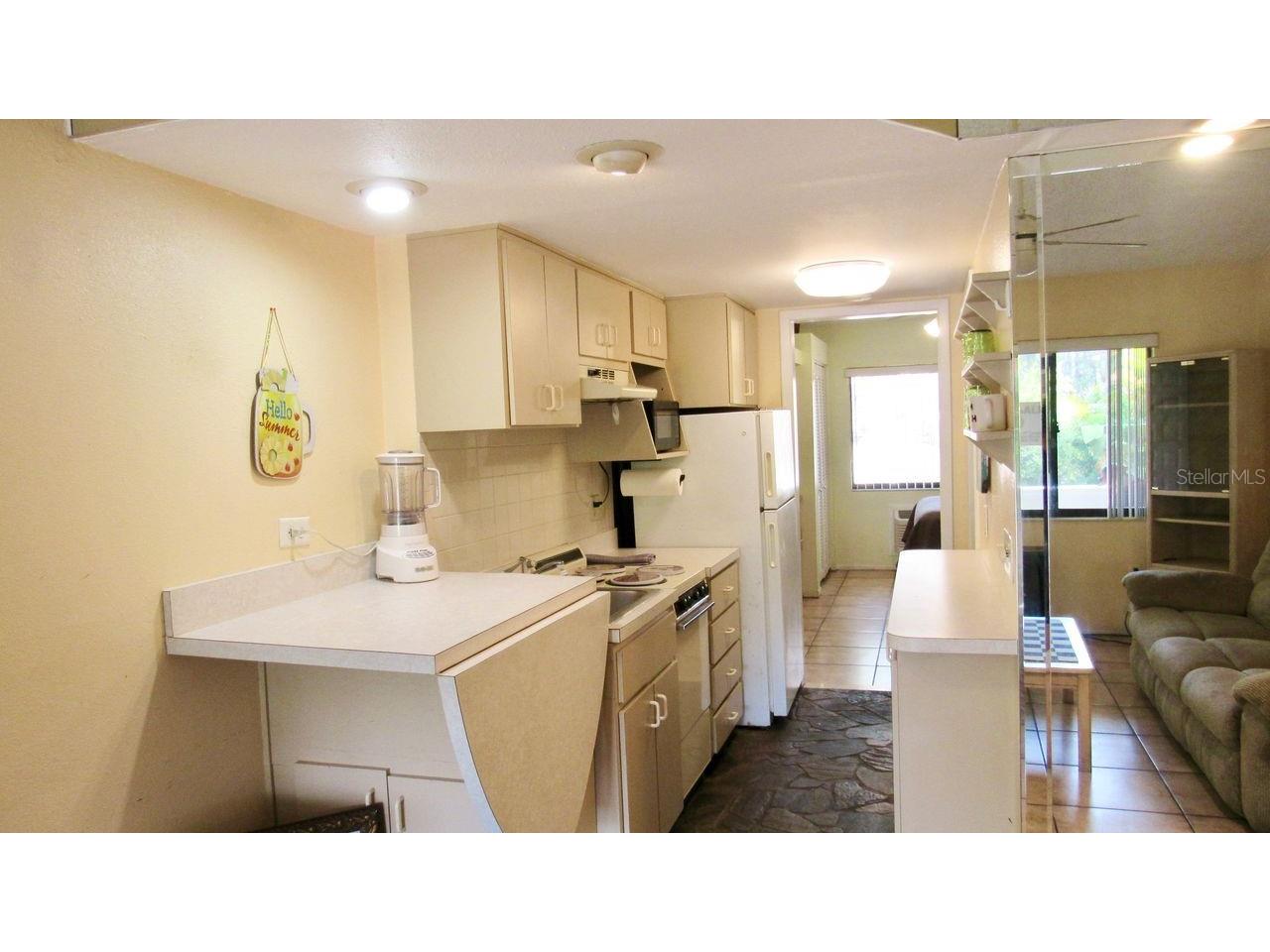 20861 Haulover Cove #C4 Lutz FL 33558 TB8431405 image5