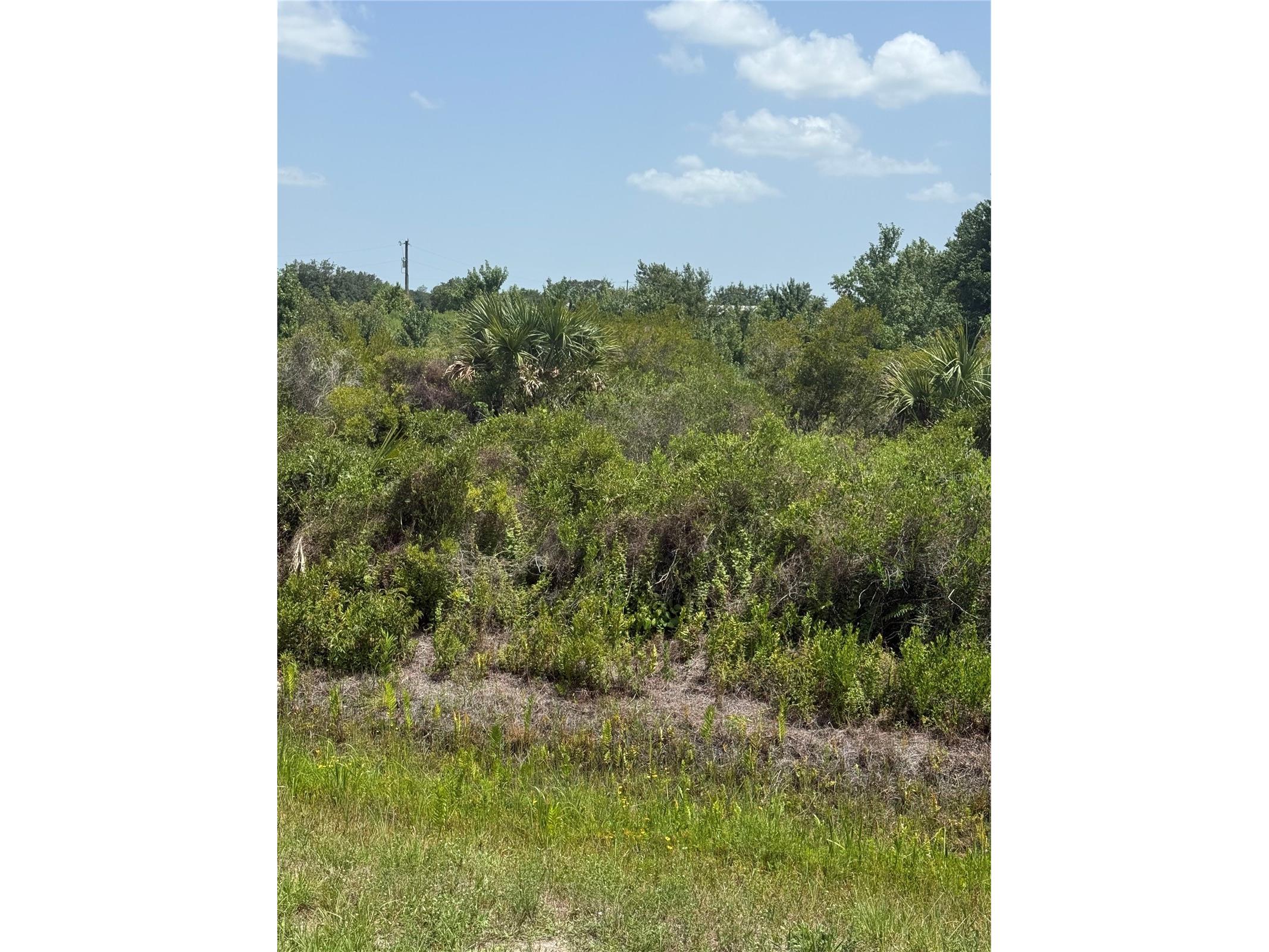 20862 NW 262nd Street Okeechobee FL 34972 K4903602 image1