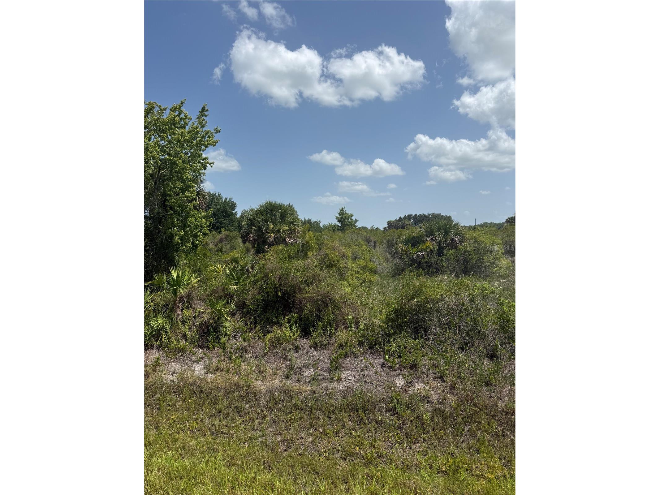 20862 NW 262nd Street Okeechobee FL 34972 K4903602 image2