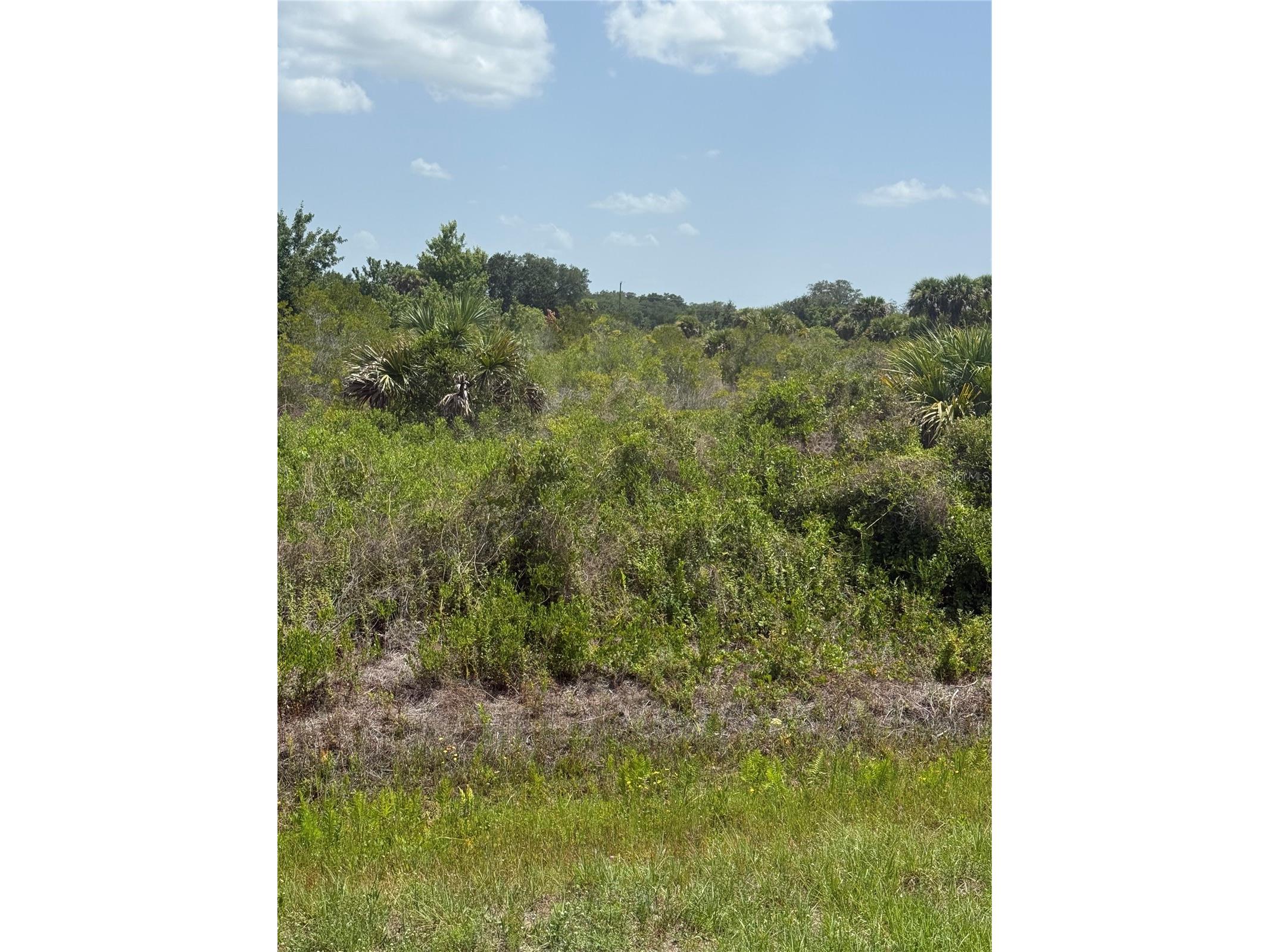 20862 NW 262nd Street Okeechobee FL 34972 K4903602 image3