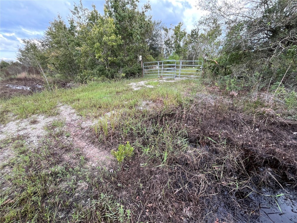 20864 NW 248th Street Okeechobee FL 34972 OK222002 image1