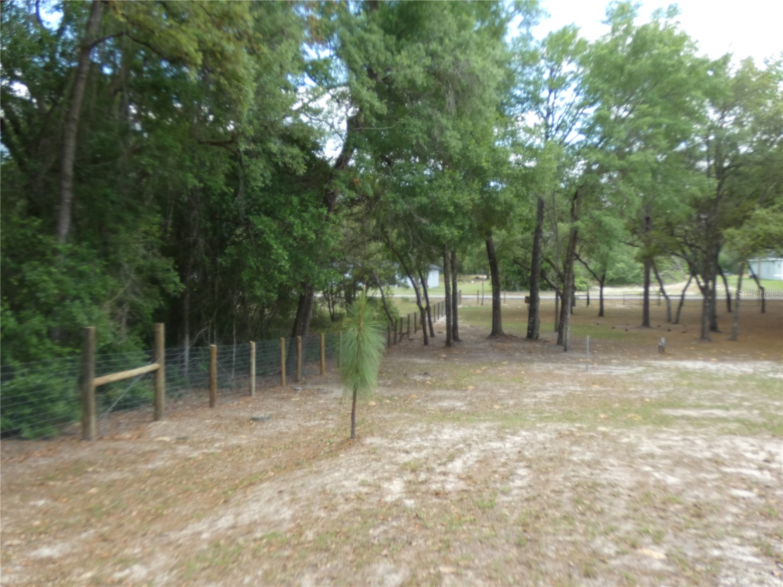 20865 SW 70th Street Dunnellon FL 34431 OM723435 image10