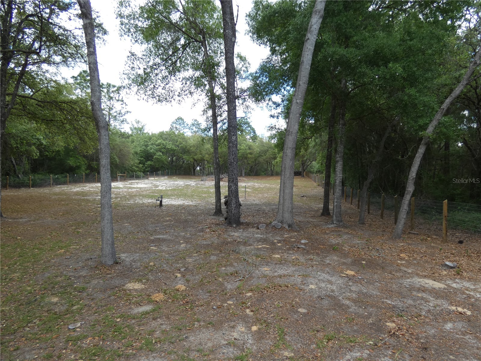 20865 SW 70th Street Dunnellon FL 34431 OM723435 image3