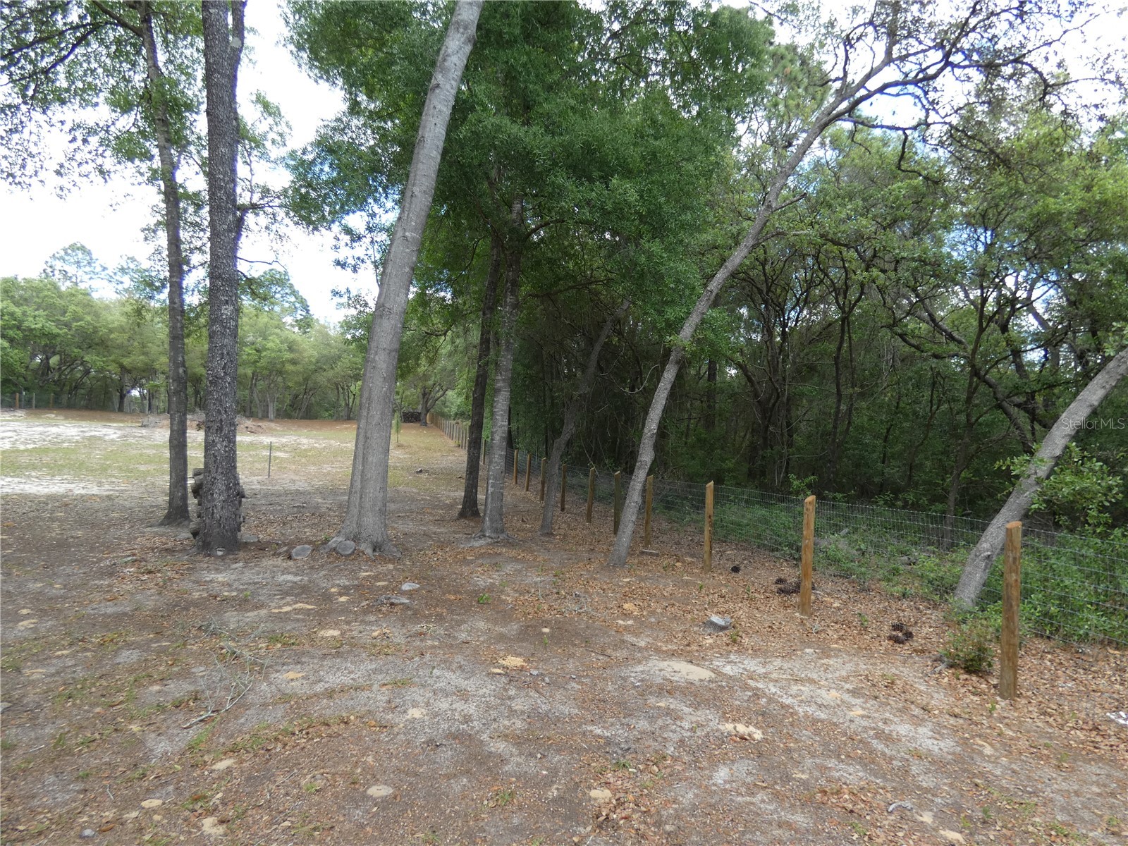 20865 SW 70th Street Dunnellon FL 34431 OM723435 image4