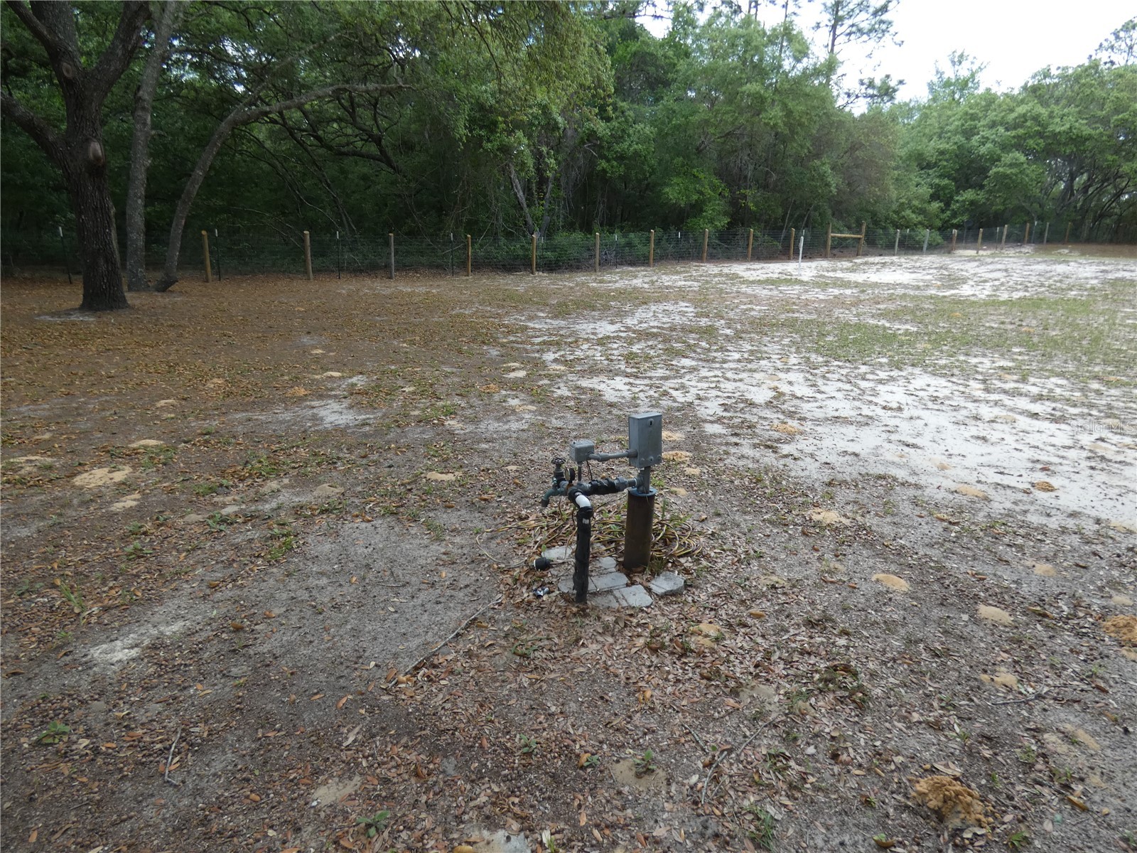 20865 SW 70th Street Dunnellon FL 34431 OM723435 image5