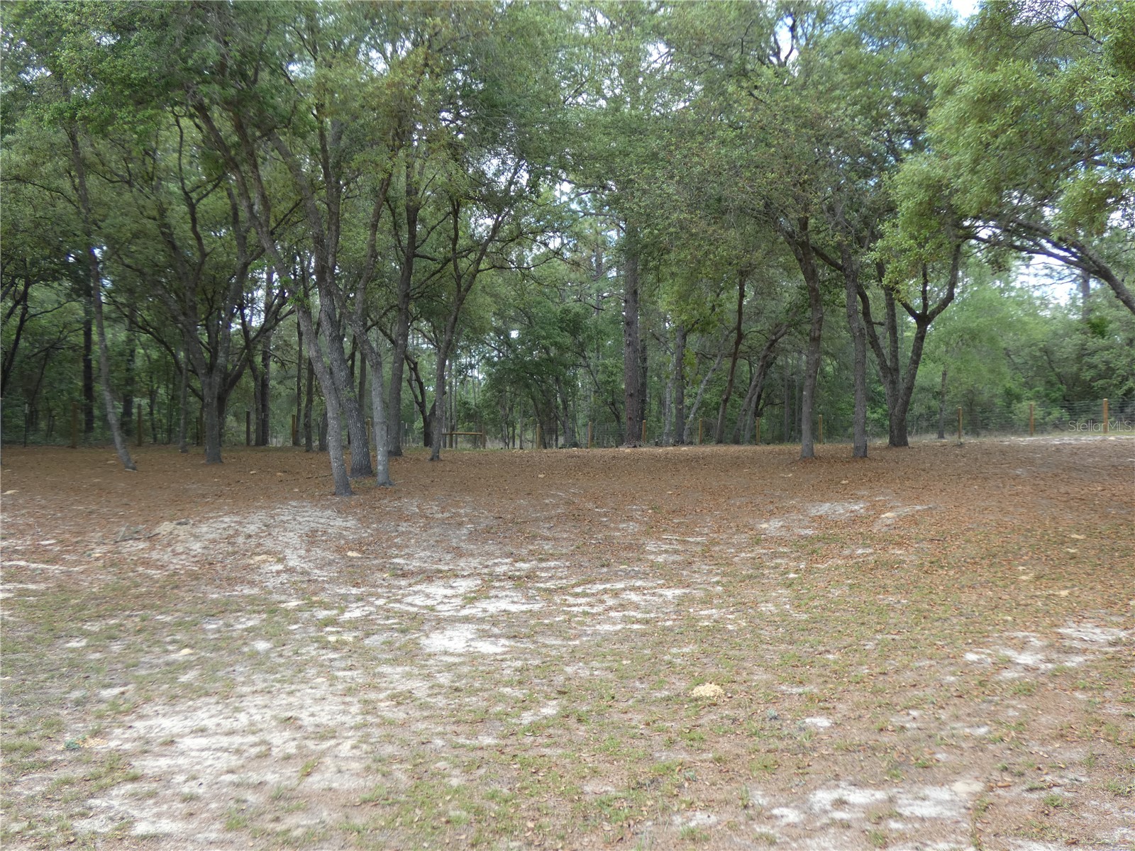 20865 SW 70th Street Dunnellon FL 34431 OM723435 image6