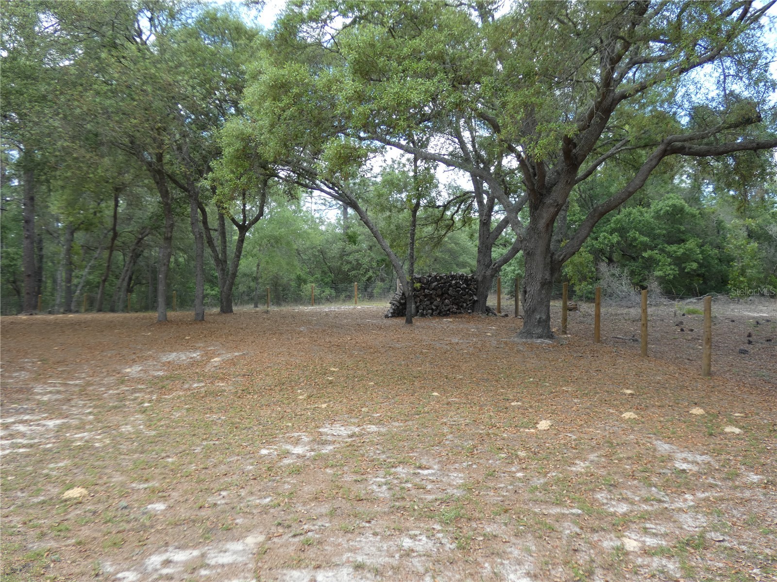 20865 SW 70th Street Dunnellon FL 34431 OM723435 image7