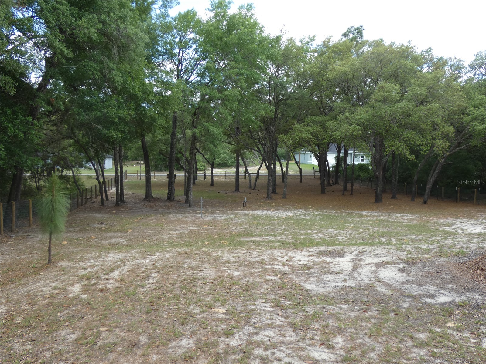 20865 SW 70th Street Dunnellon FL 34431 OM723435 image8