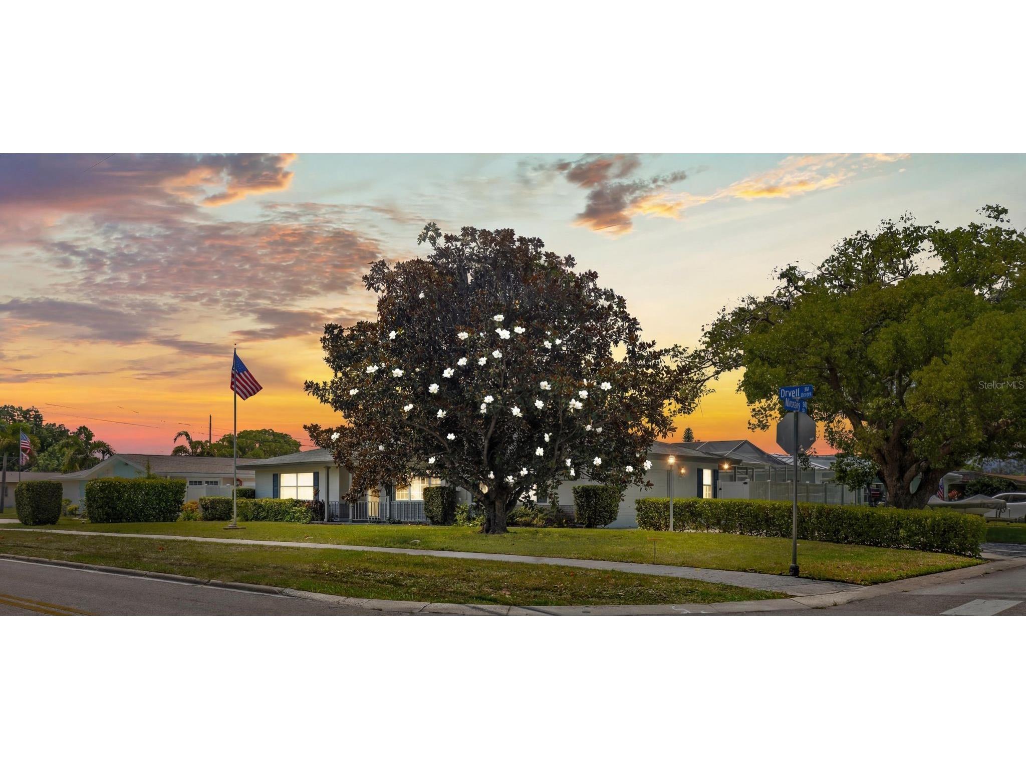 2087 Druid Road E Clearwater FL 33764 TB8511515 image4