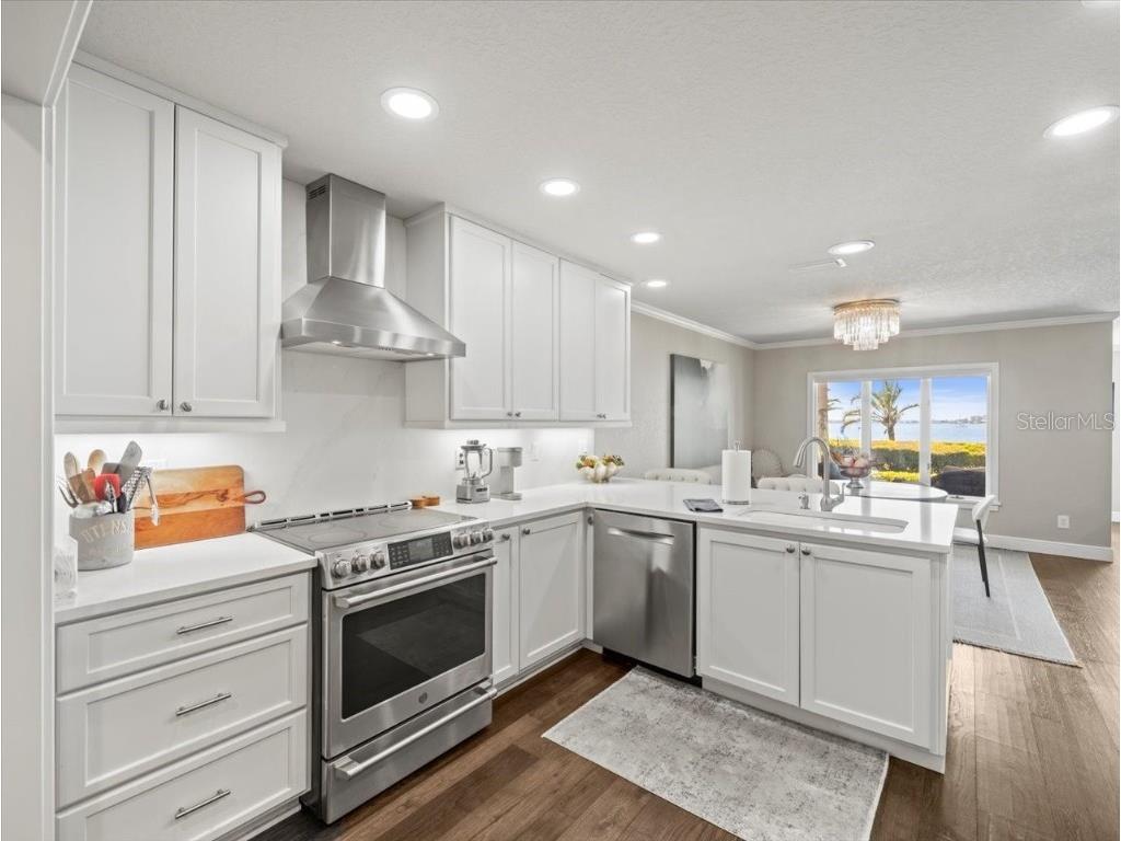 2087 Edgewater Drive #C Clearwater FL 33755 TB8367548 image18