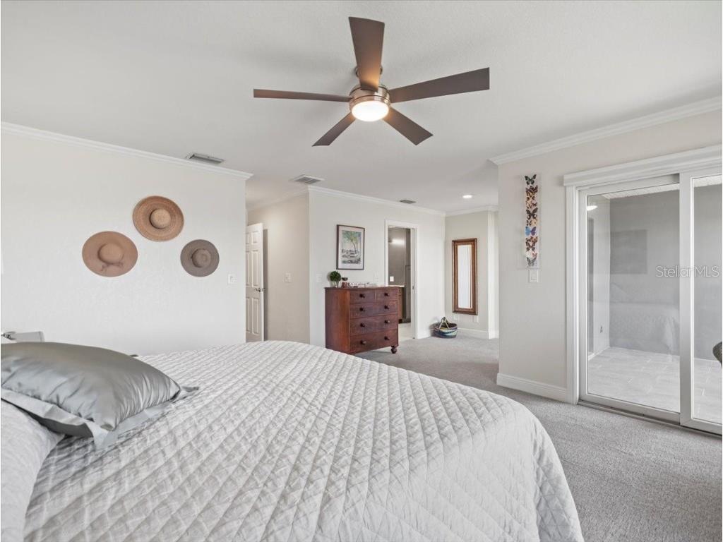 2087 Edgewater Drive #C Clearwater FL 33755 TB8367548 image51