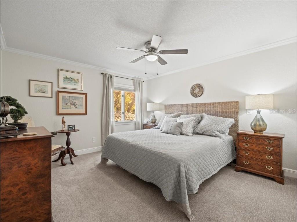 2087 Edgewater Drive #C Clearwater FL 33755 TB8367548 image56