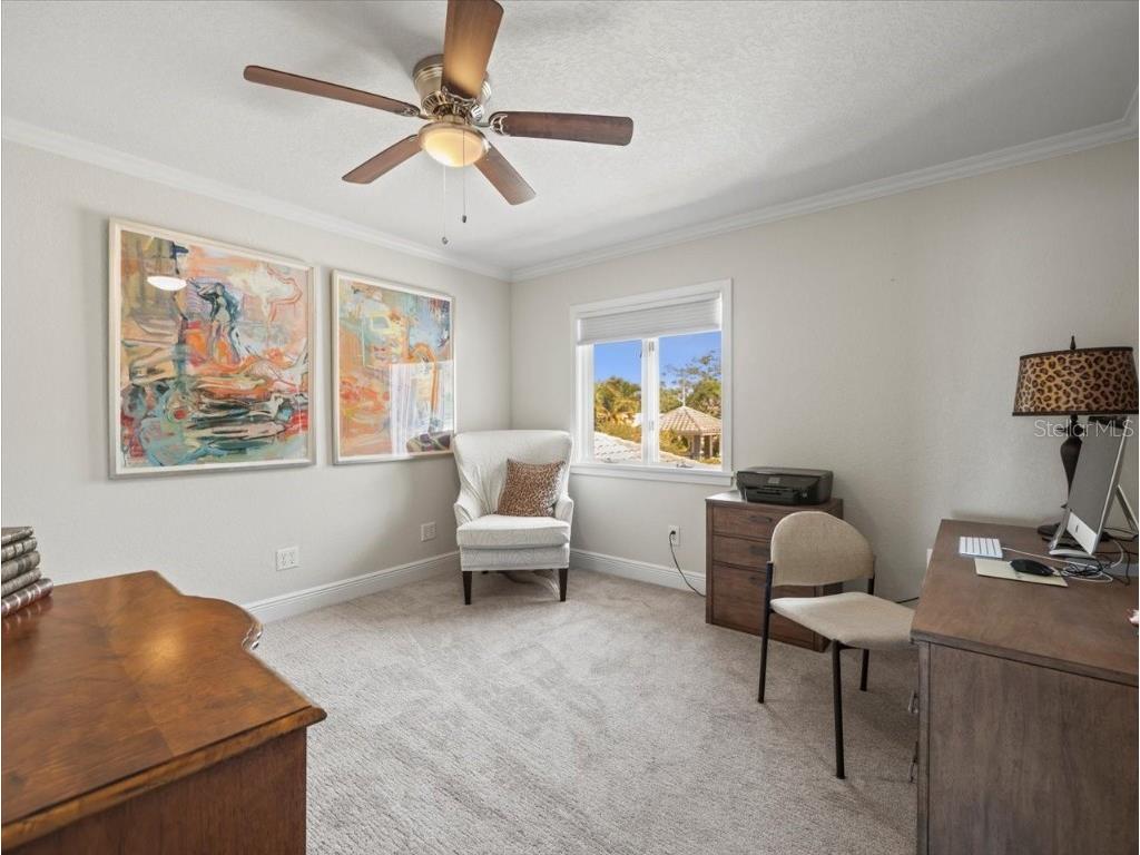 2087 Edgewater Drive #C Clearwater FL 33755 TB8367548 image58