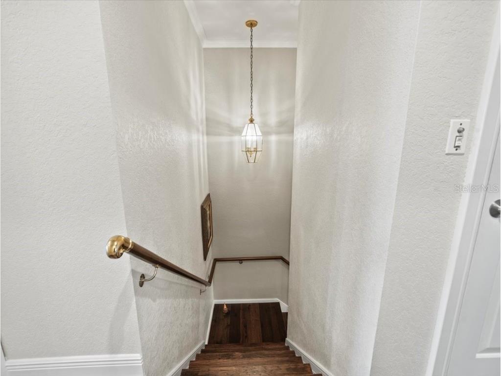 2087 Edgewater Drive #C Clearwater FL 33755 TB8367548 image59