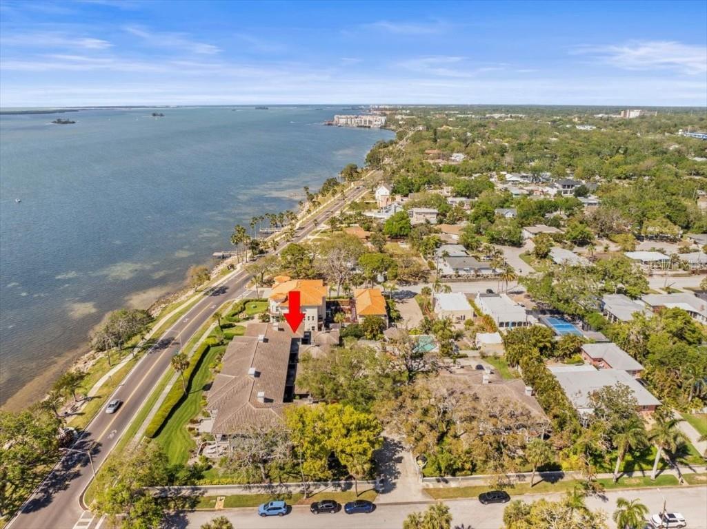 2087 Edgewater Drive #C Clearwater FL 33755 TB8367548 image65