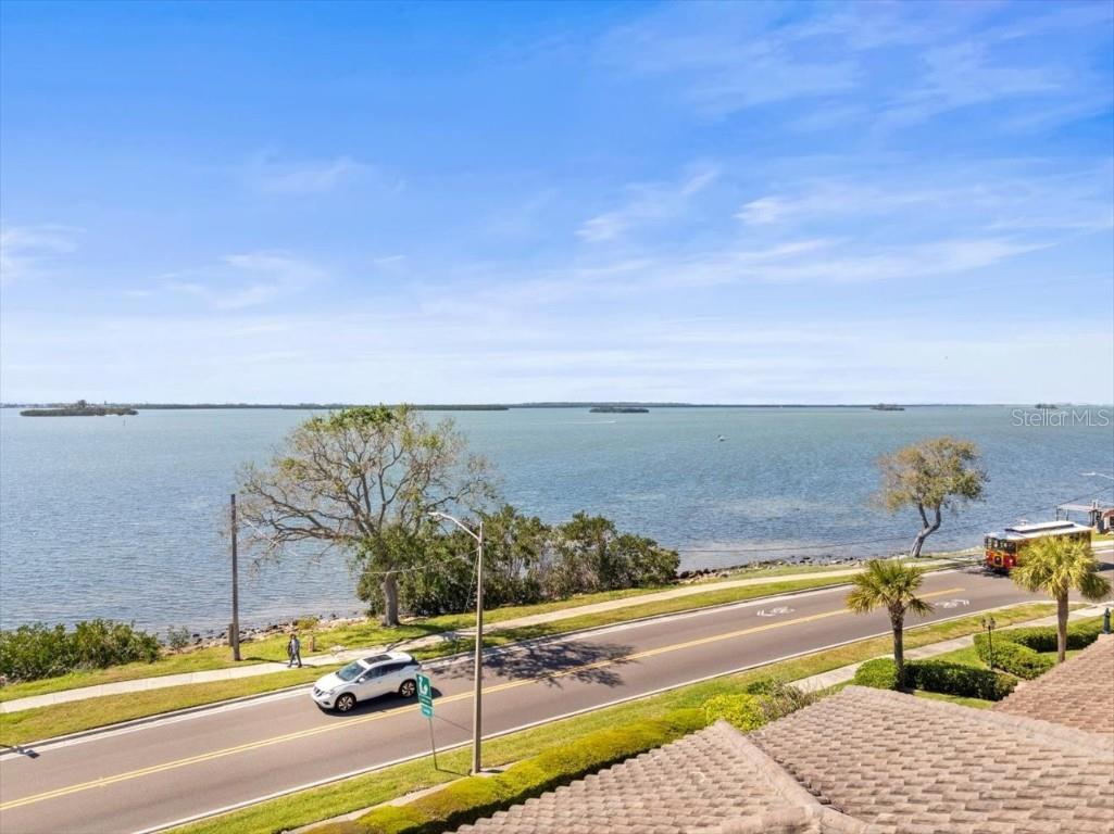 2087 Edgewater Drive #C Clearwater FL 33755 TB8367548 image7