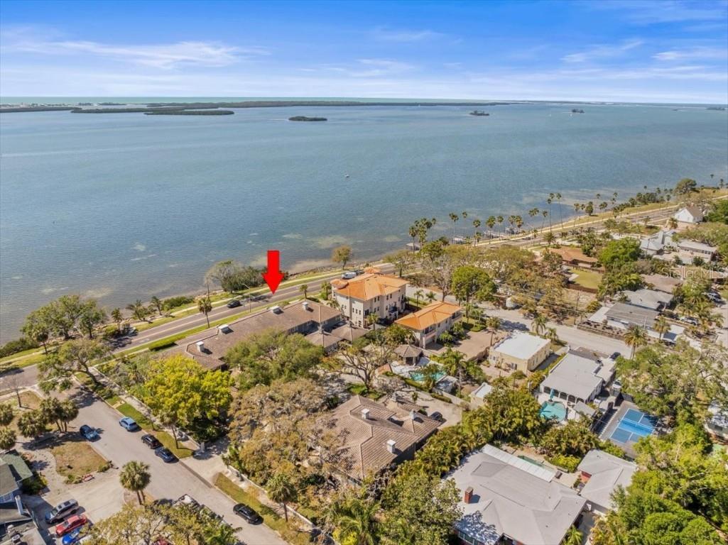 2087 Edgewater Drive #C Clearwater FL 33755 TB8367548 image73