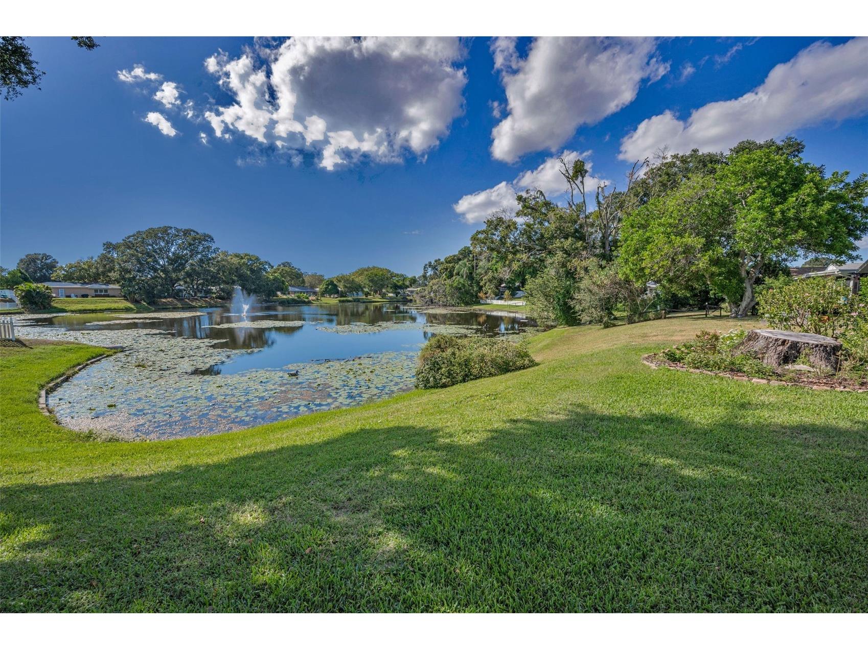 2087 Hillwood Drive Clearwater FL 33763 TB8442158 image40