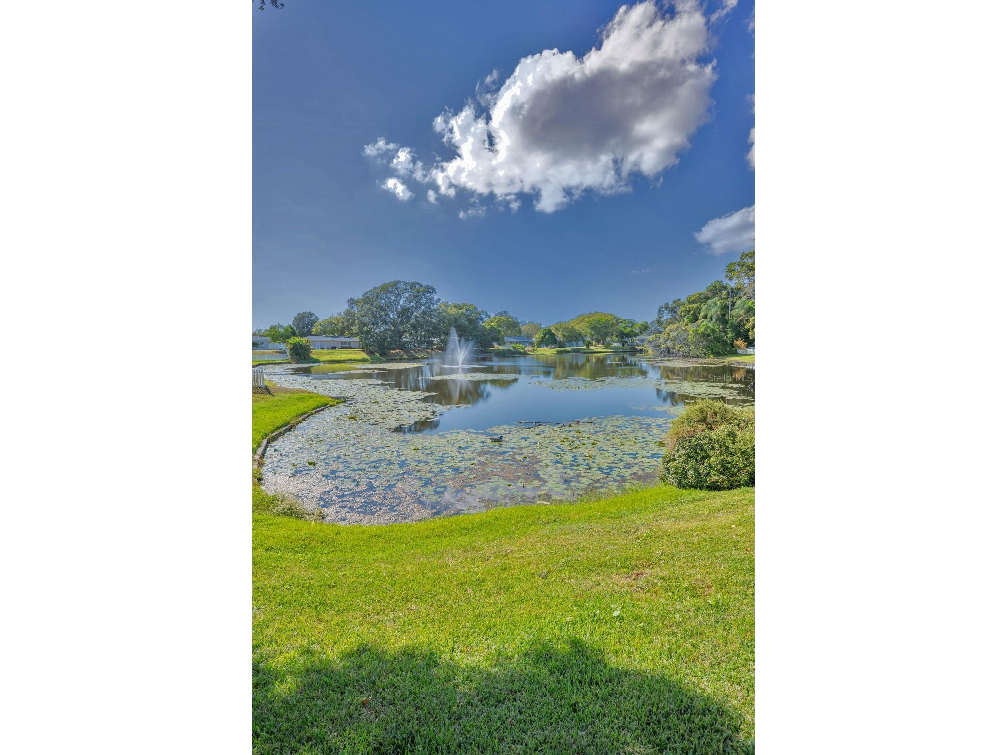 2087 Hillwood Drive Clearwater FL 33763 TB8442158 image41