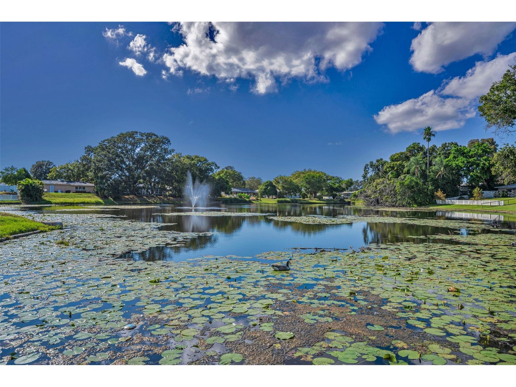 2087 Hillwood Drive Clearwater FL 33763 TB8442158 image42