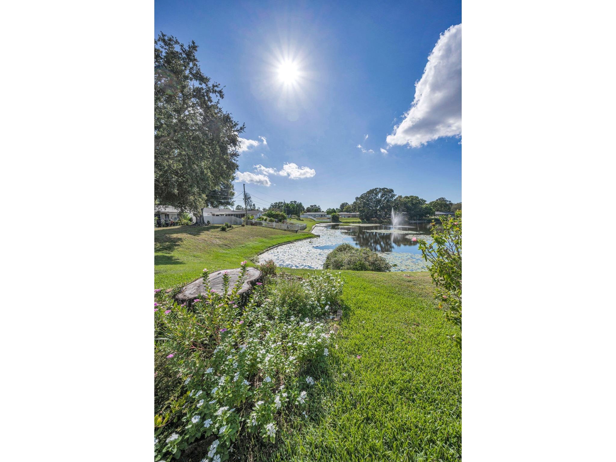 2087 Hillwood Drive Clearwater FL 33763 TB8442158 image44