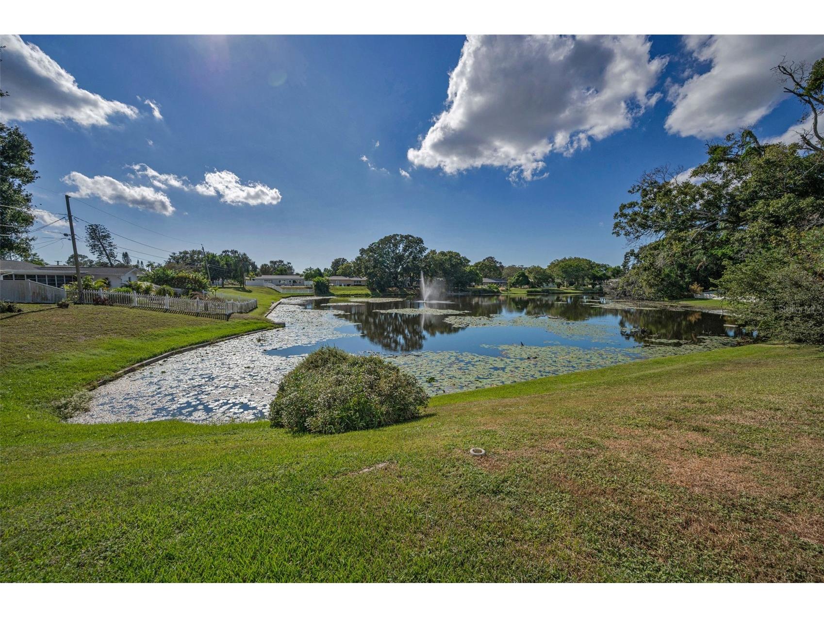 2087 Hillwood Drive Clearwater FL 33763 TB8442158 image45