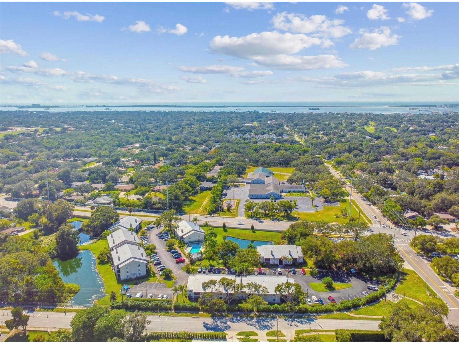 2087 Hunters Glen Drive #112 Dunedin FL 34698 TB8502547 image26