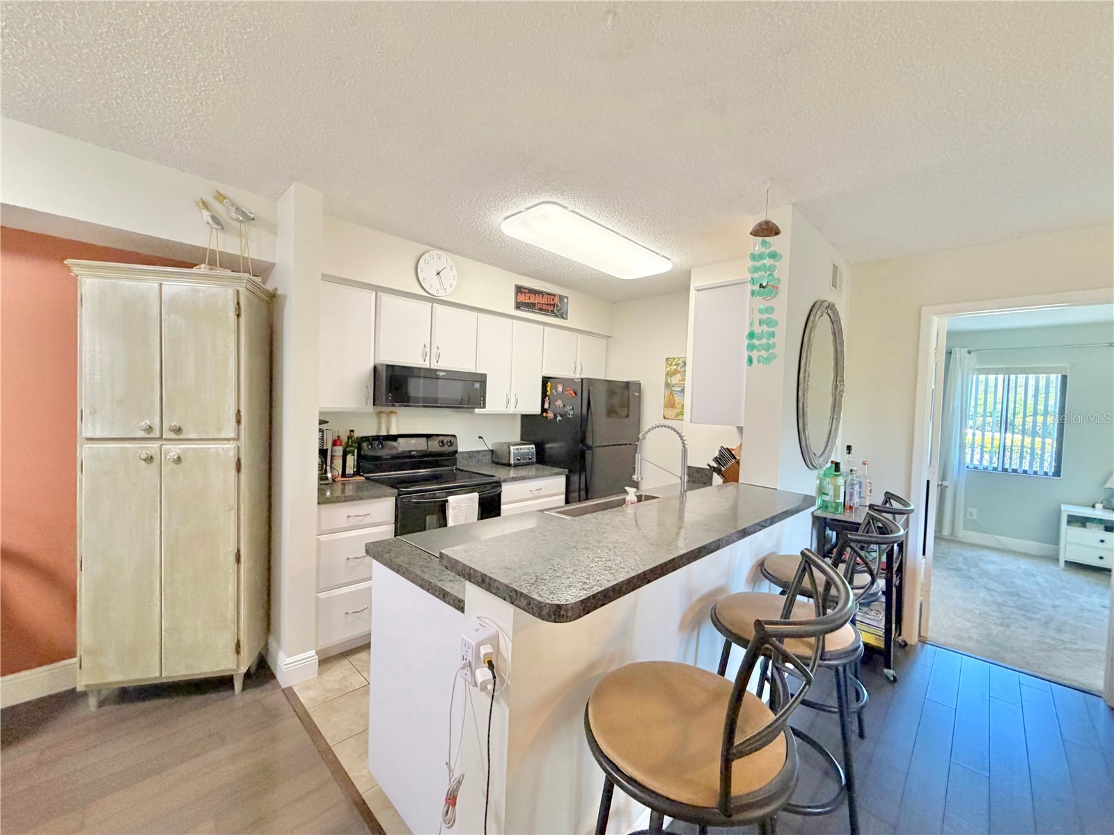 2087 Hunters Glen Drive #112 Dunedin FL 34698 TB8502547 image7