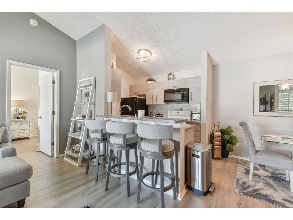 2087 Hunters Glen Drive #128 Dunedin FL 34698 TB8423148 image14