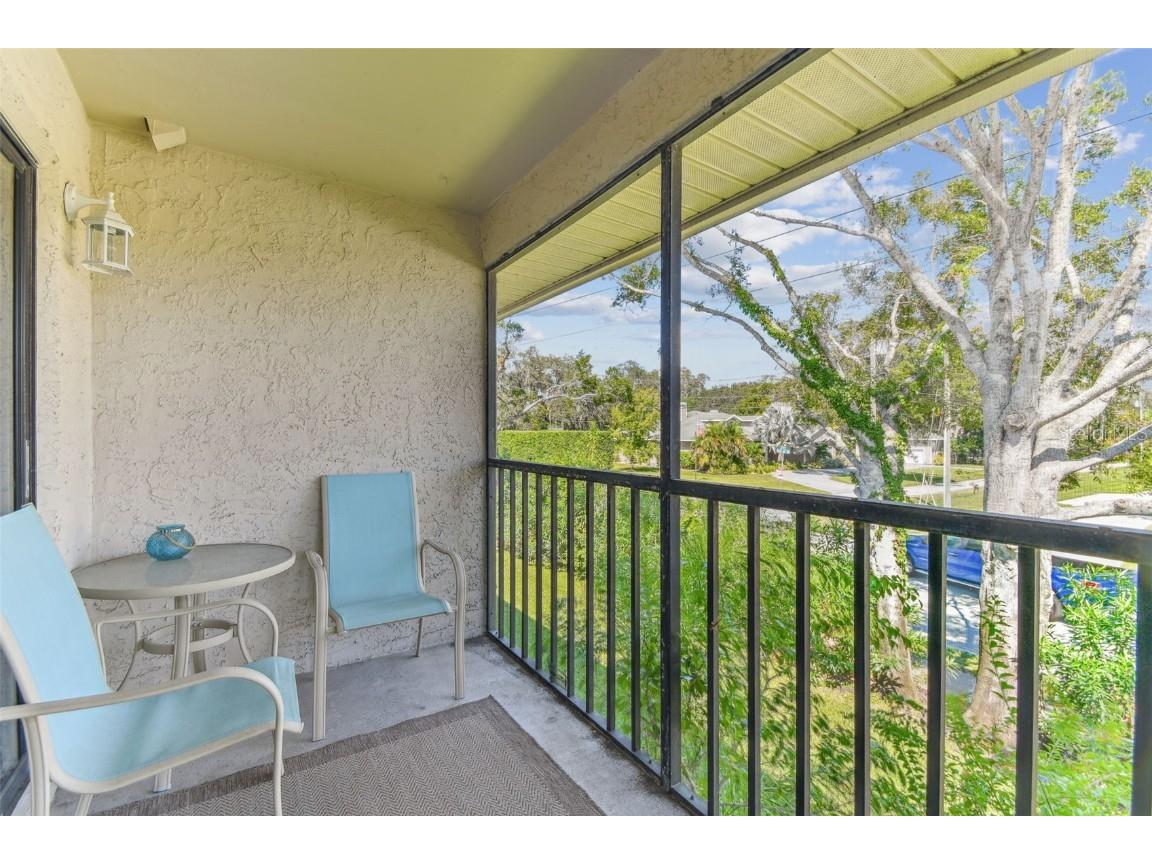 2087 Hunters Glen Drive #128 Dunedin FL 34698 TB8423148 image24