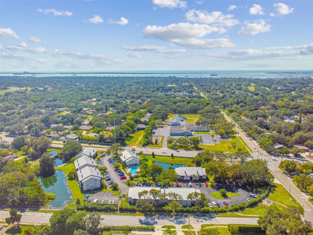 2087 Hunters Glen Drive #128 Dunedin FL 34698 TB8423148 image29