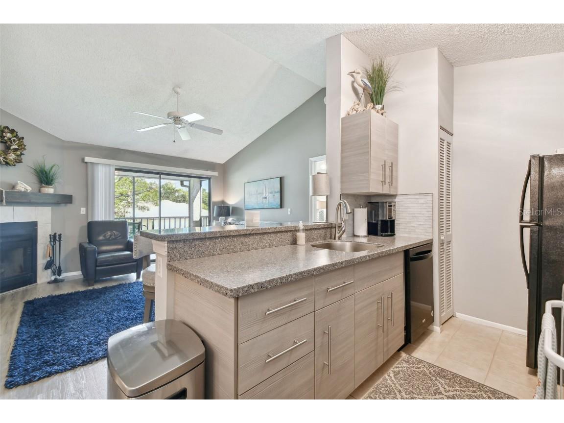 2087 Hunters Glen Drive #128 Dunedin FL 34698 TB8423148 image4