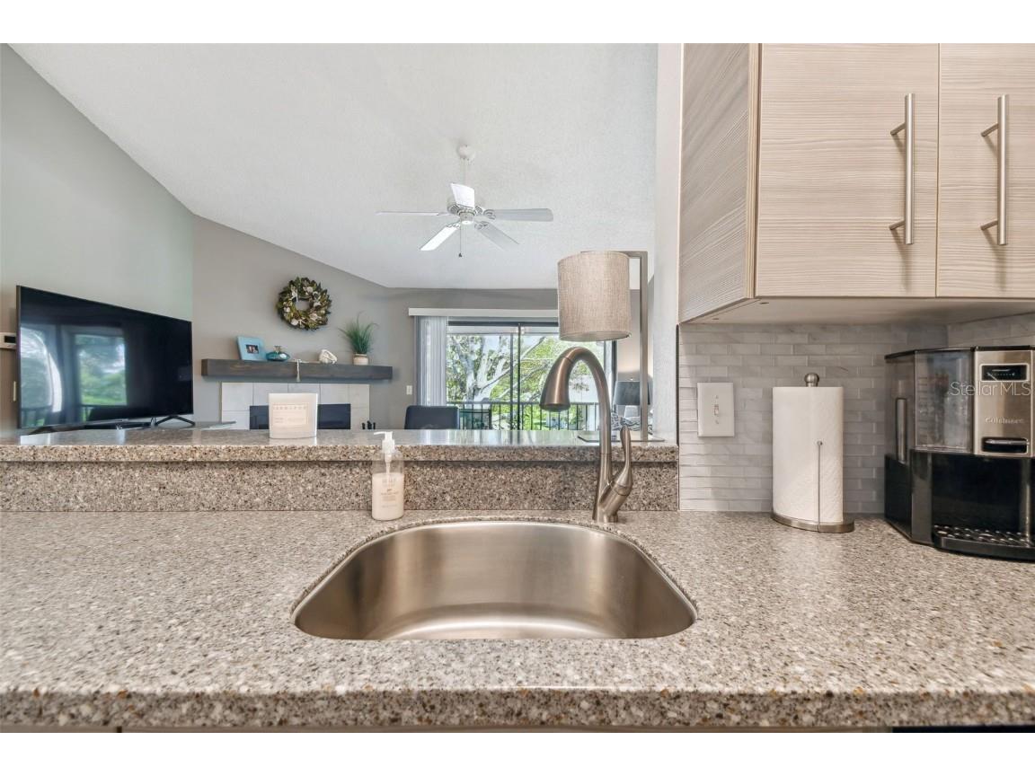 2087 Hunters Glen Drive #128 Dunedin FL 34698 TB8423148 image5