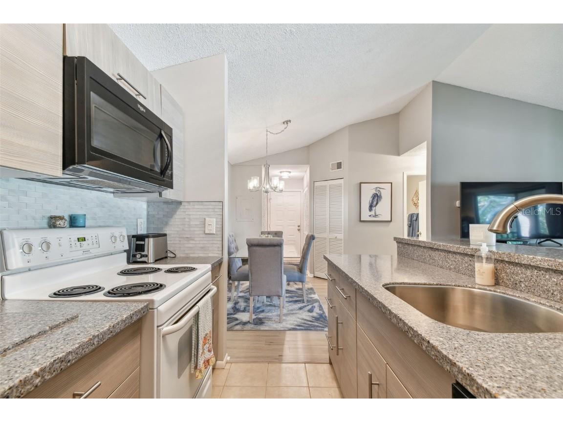 2087 Hunters Glen Drive #128 Dunedin FL 34698 TB8423148 image7