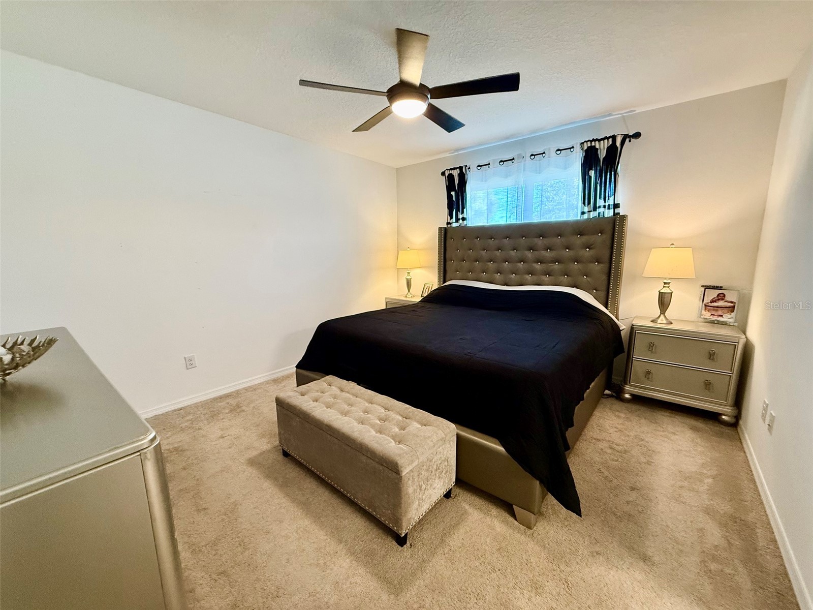 20873 Drake Elm Drive Land O Lakes FL 34638 W7882868 image29