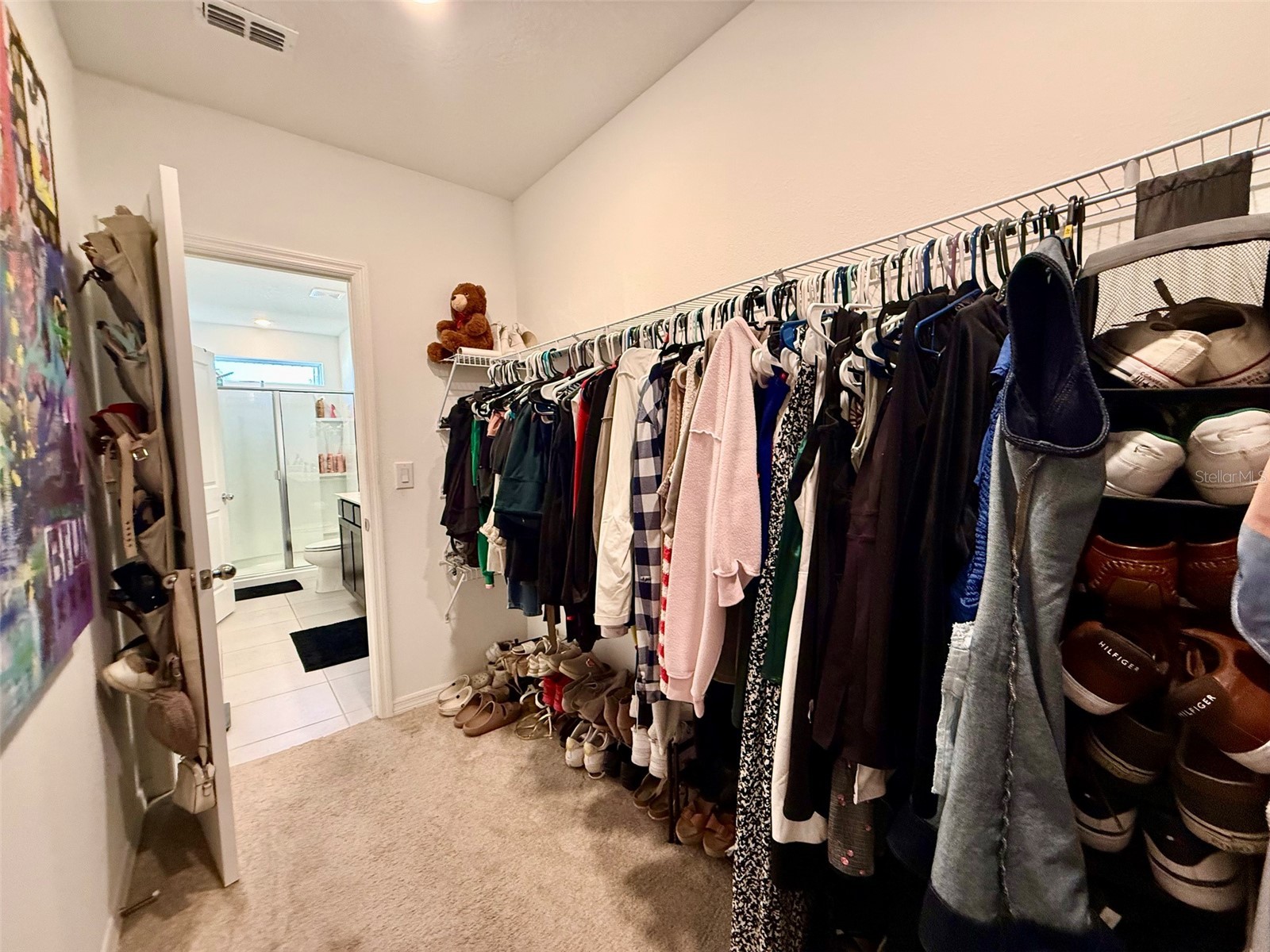 20873 Drake Elm Drive Land O Lakes FL 34638 W7882868 image31